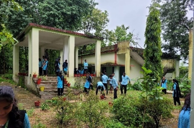Plantation and Gardening